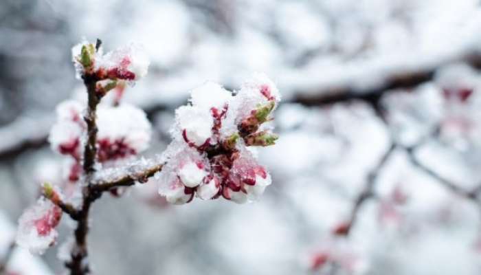Дощі з градом, вітер і морози: закарпатців попереджають про погіршення погоди