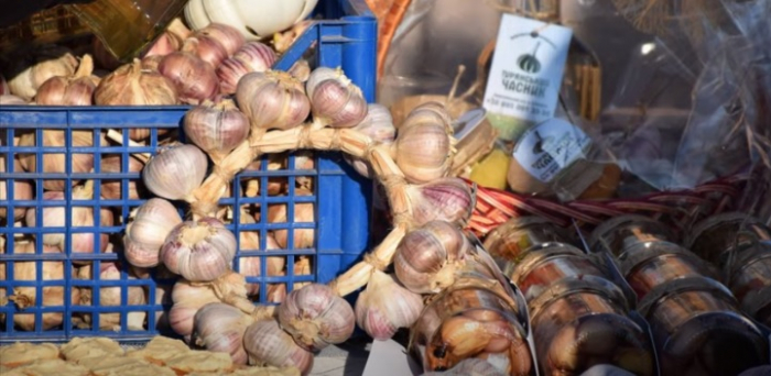 Свій продукт: як вирощування часнику розкрило нові можливості для бізнесу Перечинщини