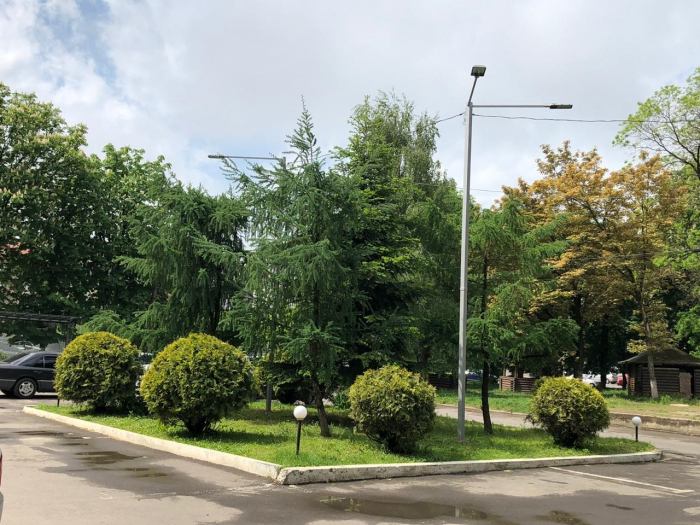 Як тепер виглядає Боздоський парк ФОТОРЕПОРТАЖ