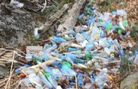 Сміттєзвалище на Закарпатті загрожує червонокнижній рибі