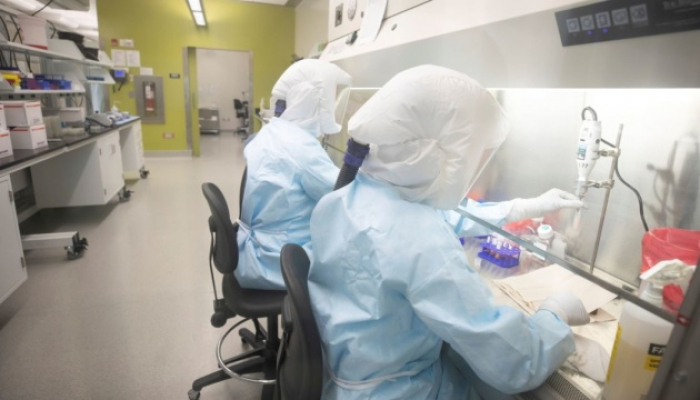 Одна з лабораторій на Закарпатті, де проводили ПЛР-тести на COVID-19, "випадає" з роботи