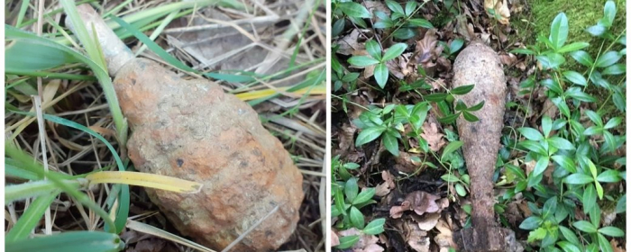 Вибухівку часів Другої світової війни знешкодили піротехніки на Закарпатті