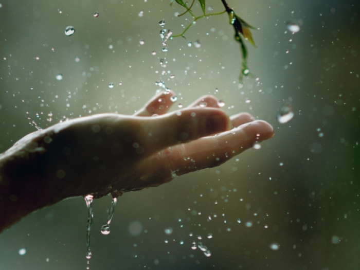 Хмарність та короткочасні дощі: яка погода чекає на закарпатців у найближчі дні