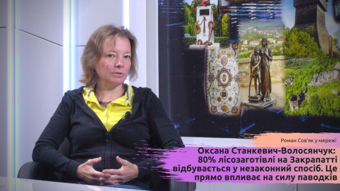 Оксана Станкевич-Волосянчук: 80% лісозаготівлі на Закарпатті – незаконні. Це вливає на силу паводків