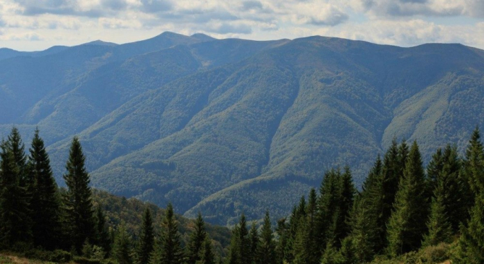 Спецоперація на Рахівщині: рятувальники евакуювали групу туристів з малолітніми дітьми