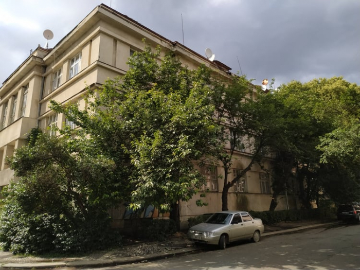 Самовільна обрізка сакур у центрі Ужгорода: Богдан Андріїв викликав правоохоронців