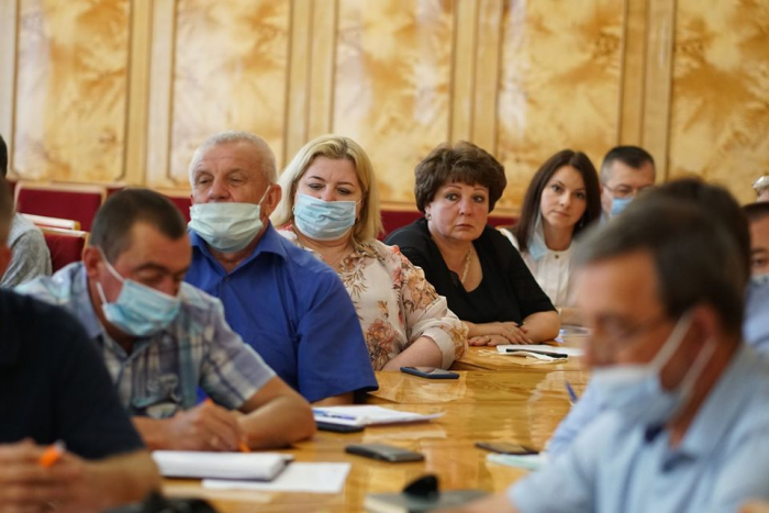 На Закарпатті запустять пілотний проєкт з продажу деревини