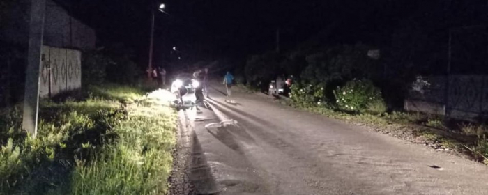 Збив насмерть і втік: поліцейські затримали винуватця смертельної ДТП на Закарпатті
