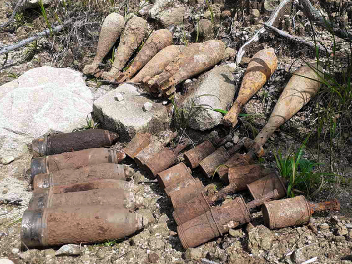 На Закарпатті продовжують виявляти та знешкоджувати "ехо війни"