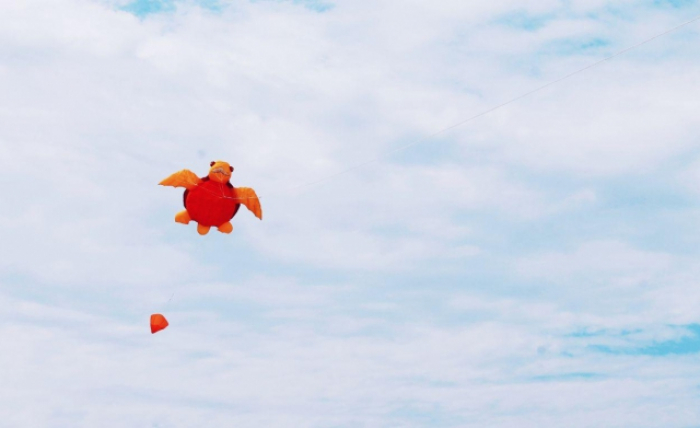 В Ужгороді пройшов перший чемпіонат Закарпатської області з кайт-флаїнґу