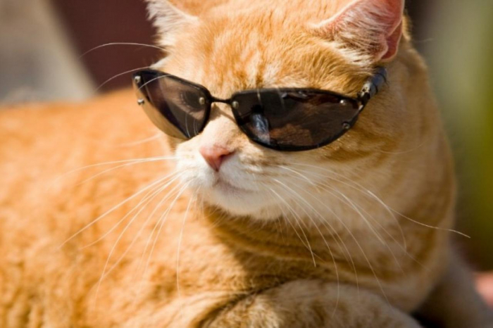 Що приготувала погода закарпатцям на другий день липня