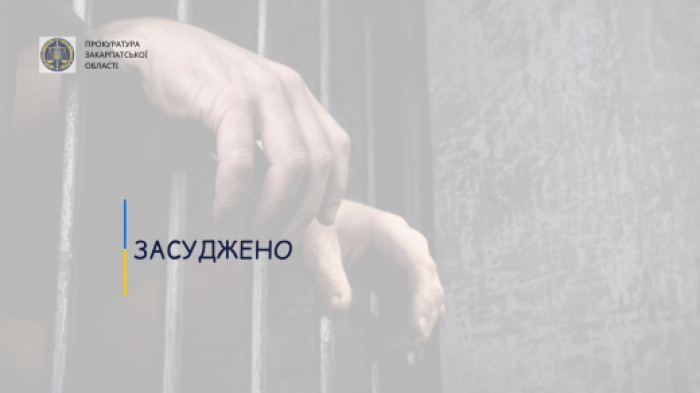 Закарпатець сидітиме у в'язниці за крадіжку ювелірних виробів