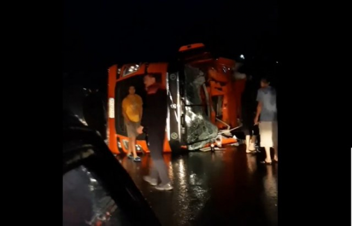 Нічна ДТП на Мукачівщині: перекинута вантажівка та автобус у кюветі (ФОТО, ВІДЕО)