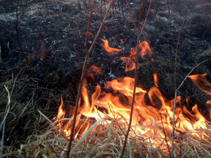 На Закарпатті згоріли дві тонни сіна