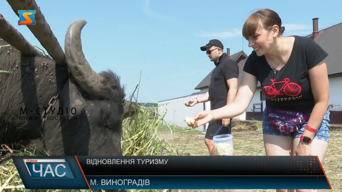 Як на Закарпатті відновлюють туристичну галузь після карантину (ВІДЕО)