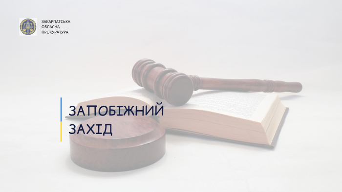 За підозрою у грабежі взято під варту раніше судимого мешканця Мукачева