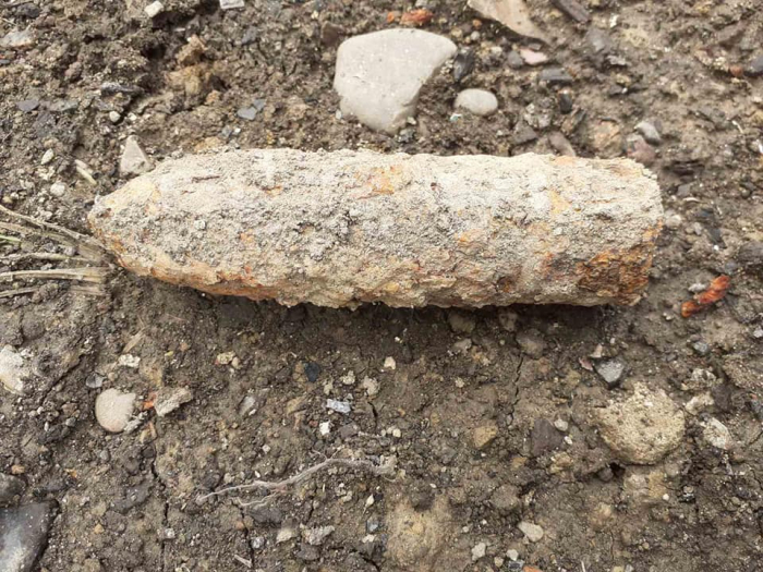 В Закарпатті навіть на власному подвір'ї можна натрапити на небезпеку