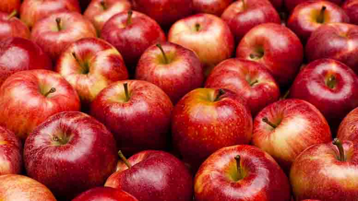 Збір яблук триває у відкритому саду в селі Концово на Ужгородщині