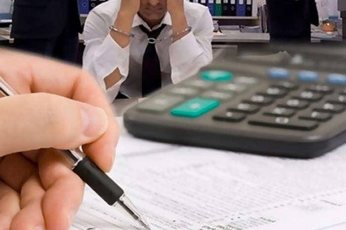 Закарпатські податківці викрили підприємство, що ухилилось від сплати 411 тис. грн податків