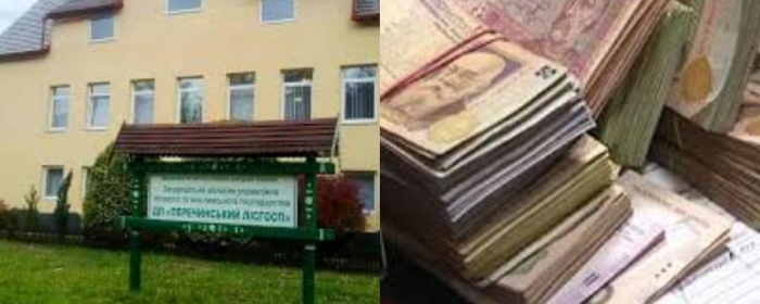 На 600 тисяч оштрафувала прокуратура "Перечинське лісове господарство" на Закарпатті