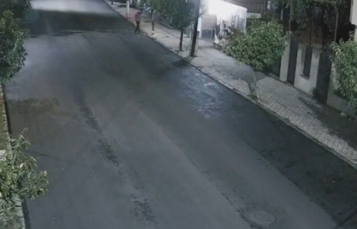 В Іршаві розшукують чоловіка, який зрізав і вкрав сакуру в центрі міста
