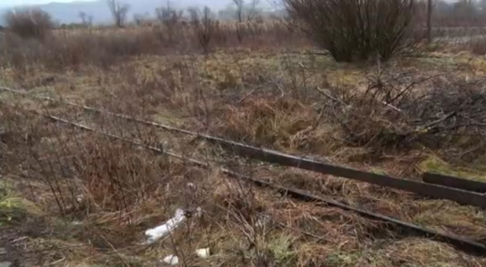 Врятувати історію: чи вдасться жителям Приборжавського відстояти славнозвісну «Анцю Кушницьку»?