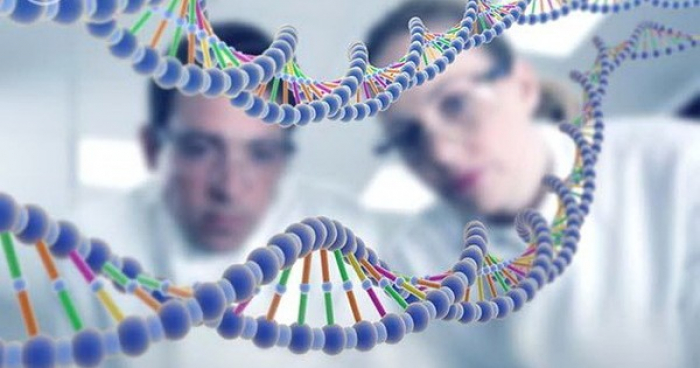 Вчені з УжНУ очолили міжнародну групу науковців, які провели нове дослідження геному українців