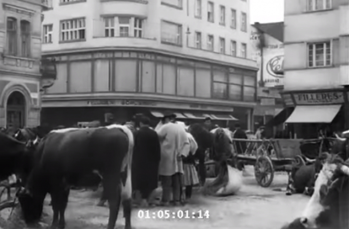 У мережі показали реставровану кінохроніку Ужгорода 1939 року (ВІДЕО)