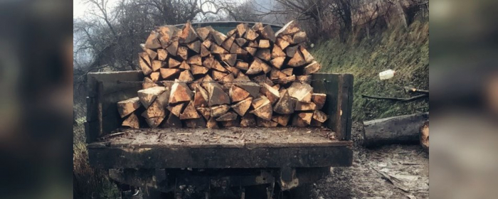 За незаконну рубку дерев в Ужанському нацпарку судитимуть чоловіка — прокуратура