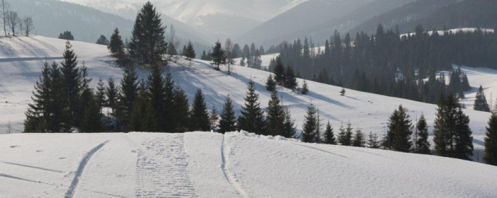 На Закарпатті у горах заблукав чоловік з Львова: його більше доби шукають рятувальники
