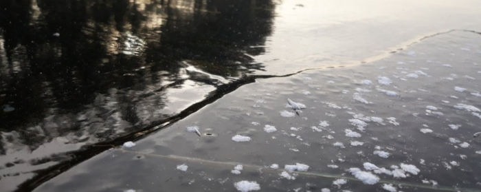 Водолази знайшли тіло закарпатця, що провалився під кригу два дні тому
