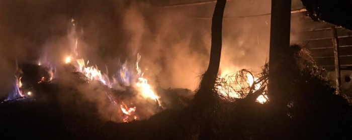 20 тонн сіна згоріли під час пожежі у селі на Закарпатті