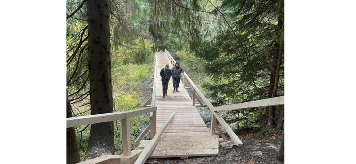 Біля озера Синевир на Закарпатті побудували два 40-метрові дерев’яні мости (ФОТО)