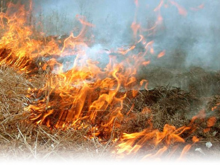 До уваги жителів області: на Закарпатті оголошена висока пожежна небезпека