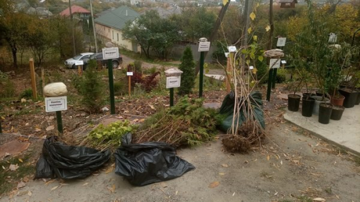 Школярі зі Львівщини, Луганщини та Закарпаття висадили 350 дерев на "Алеї єдності"