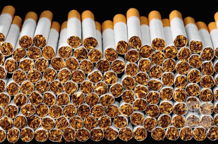 Саморобний безпілотник та 600 пачок сигарет вилучили прикордонники на Ужгородщині