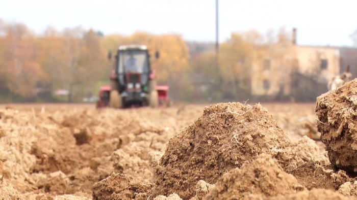 Ціна на землю: в Ужгороді прозвітували про 100 денний хід земельної реформи