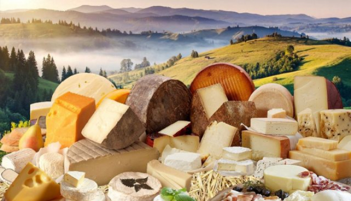 На Тячівщині родина виготовляє крафтовий сир більш ніж 15-ти сортів