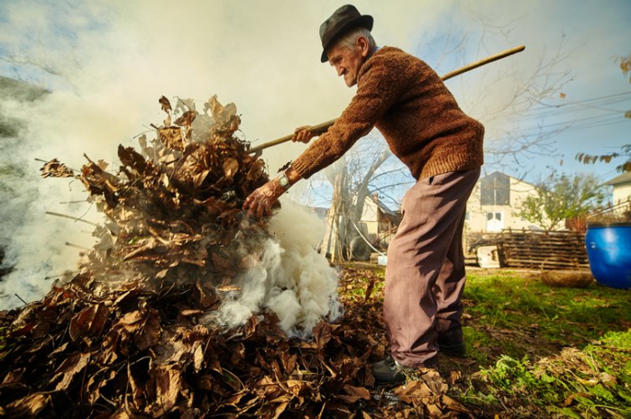 Сезон спалювання листя: закарпатцям нагадують про шкоду та відповідальність (ВІДЕО)