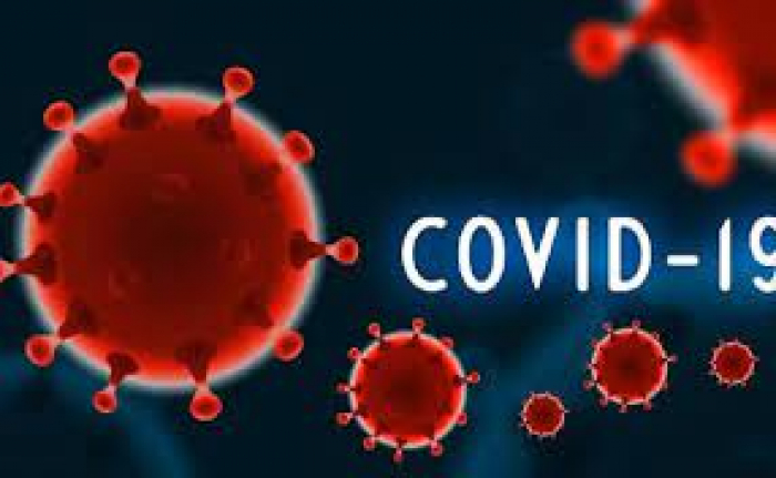 255 нових випадків COVID-19 виявили на Закарпатті за минулу добу