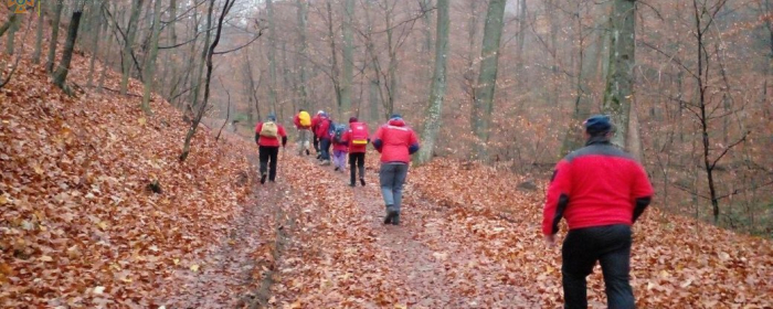 Турист з Києва, якого шукали на Закарпатті, "знайшовся" у одному з кафетеріїв