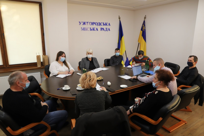 Впровадження проєкту відеоспостереження в Ужгороді та Сату-Маре: на якому етапі співпраця?