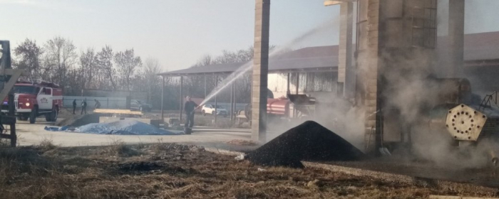 Згоріла тонна насіння соняшника: на Закарпатті сталася пожежа в зерносушарці