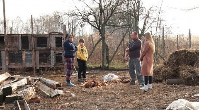 Повернення чупакабри: невідома істота жорстоко розправилась із худобою на Берегівщині