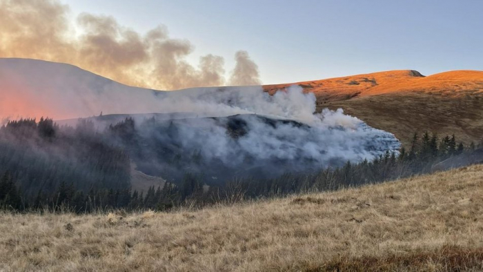 За вихідні на Закарпатті згоріли понад 32 гектари сухої трави