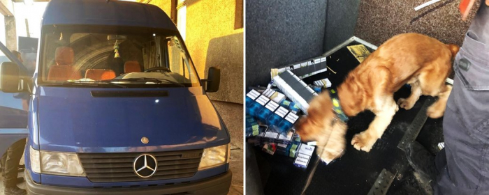 На Закарпатті службовий собака прикордонників виявив контрабанду сигарет в автомобілі