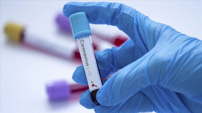 На Закарпатті за добу виявили 315 нових випадків COVID-19