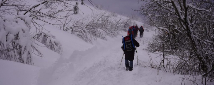 Пішов у ліс по дрова: чоловік, якого шукали рятувальники на Закарпатті, перебуває у родичів 