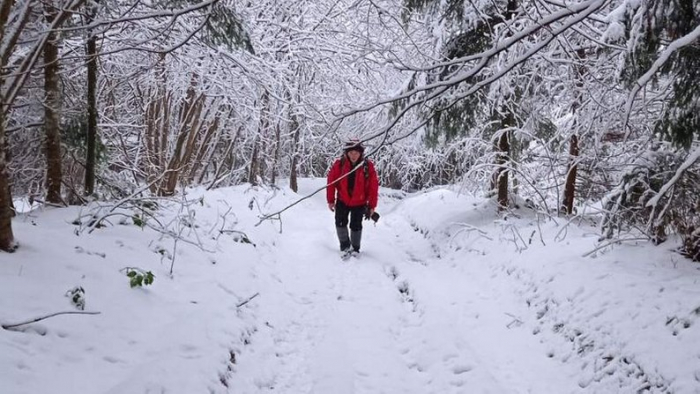 Знайшли снігохід: на полонині Руна в Закарпатті шукають заблукалого чоловіка