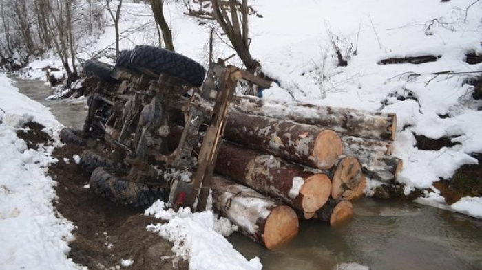 Втікали від рейдової бригади: на Закарпатті вантажівка з ялиною перекинулася в потічок